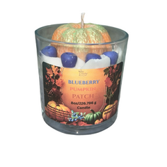 Blueberry Pumpkin Patch 8oz Specialty Candle All Natural Fall Scented