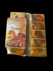Selected Scent Amish Harvest long lasting fall fragrance melt with autumn colors and spices