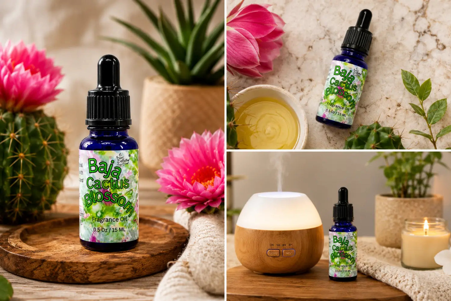 Baja cactus blossom 100% fragrance oil – desert bloom & fresh floral home by selected scent