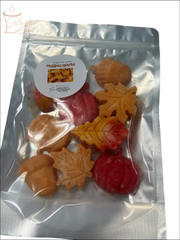 Selected Scent pumpkin and leaves wax melts in resealable pouch with orange red yellow fall shapes