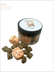 Selected Scent jar of pumpkin spice latte wax melts showing pumpkin face melts and brown cube melts