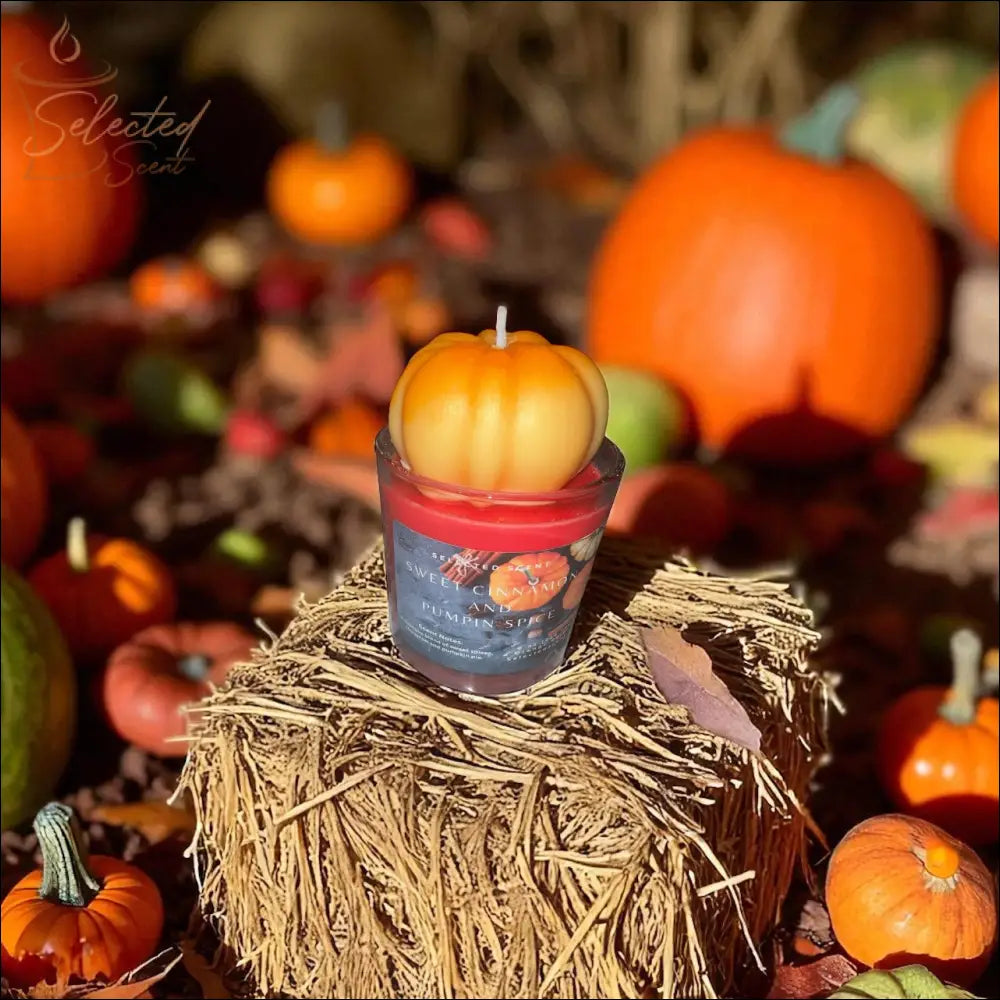 Sweet Cinnamon and Pumpkin Spice8oz Specialty Candle All Natural Fall Scented