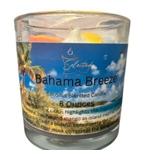 Bahama Breeze 8 Ounce Candle